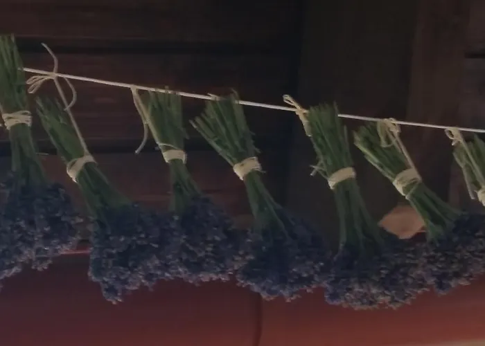 De Dominique 3* Erdőbénye