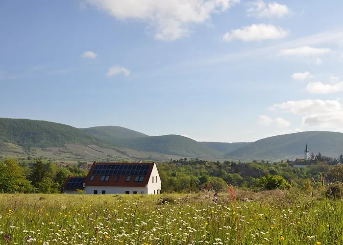 Affittacamere De Dominique 3*