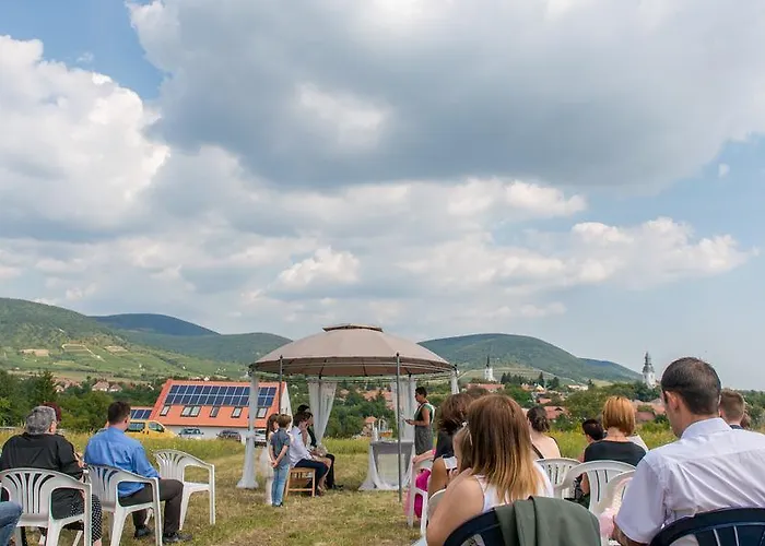 De Dominique Erdőbénye