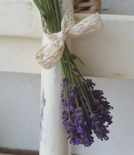 Affittacamere De Dominique Erdőbénye