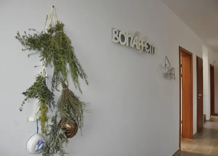 De Dominique Erdőbénye